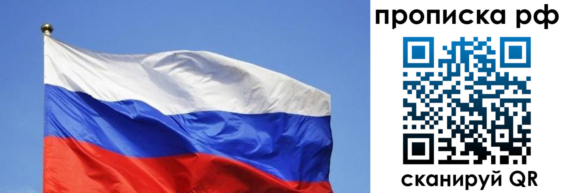 прописка штамп в Саранске
